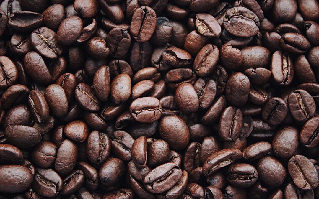 Koffiebreak tijdens het motorrijden: zet gemakkelijk je eigen bakkie